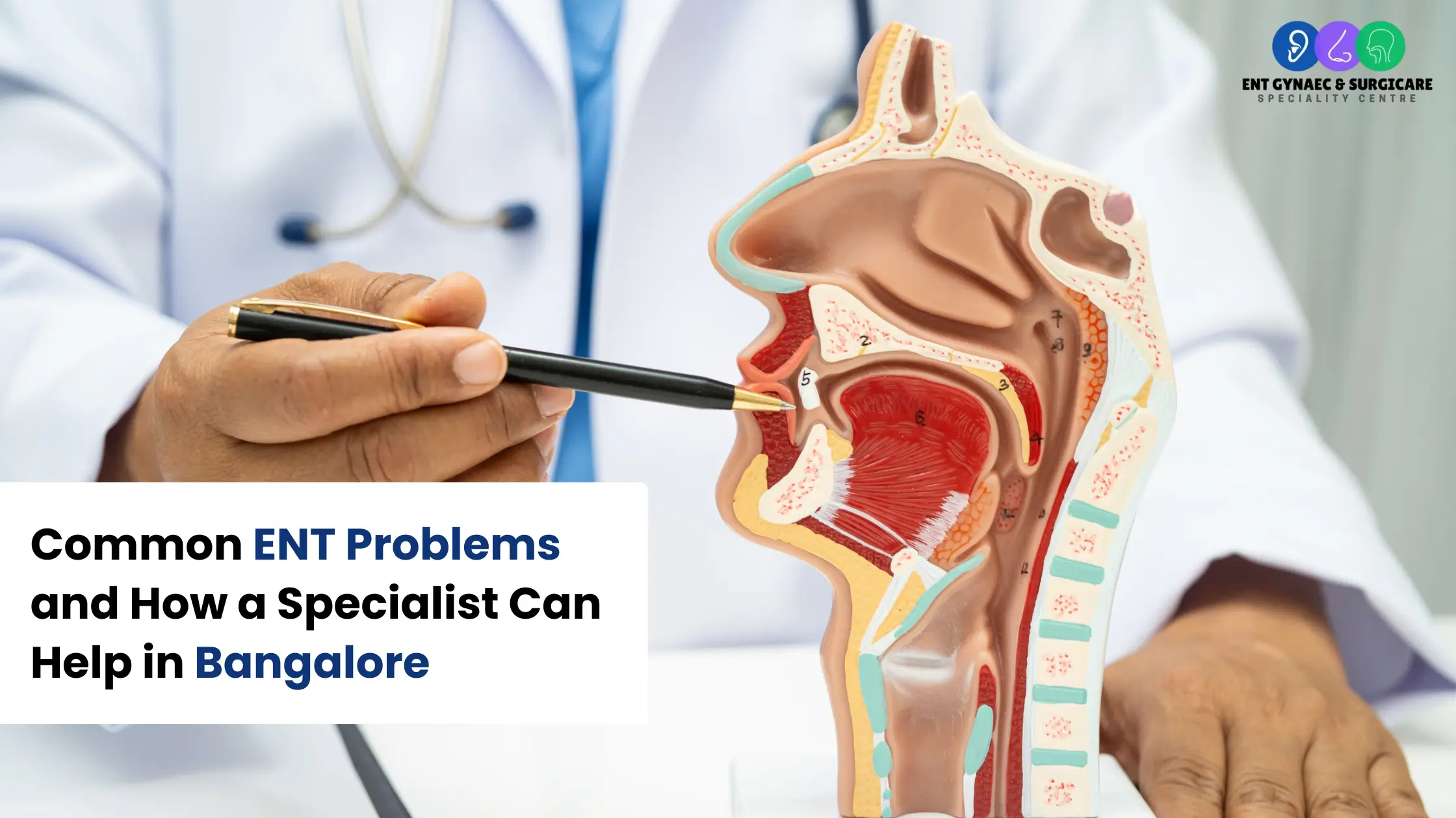Common ENT Problems and How a Specialist Can Help in Bangalore